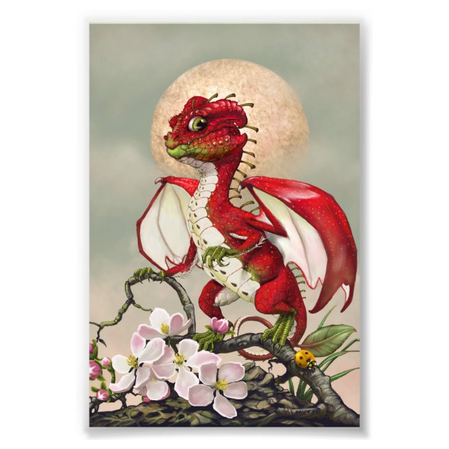 Foto Apple Dragon 4x6 Print (Frente)