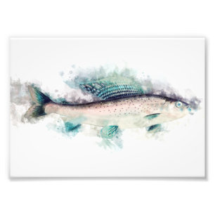 Foto Aquarelle Art Pescador Entusiastas de la Pesca de