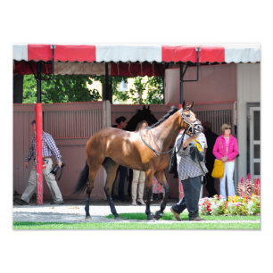 Foto Aquí viene Rosie - el prado de Saratoga