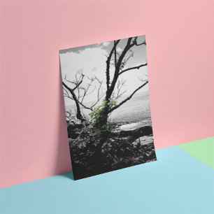 Foto Árbol Blanco Y Negro Con Vinos Verdes