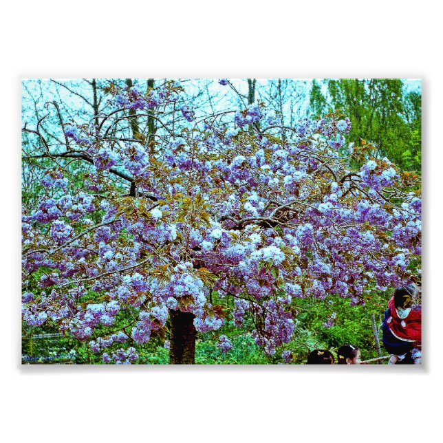 Foto Árbol de almendros en el jardín de Monet (Frente)