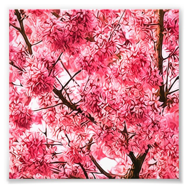 Foto Árbol de flores de cerezo japonés (2013) (Frente)