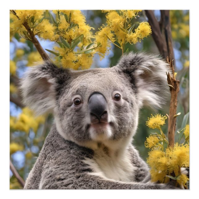 Foto Árbol De Ganado Amarillo Con Un Koala, (Frente)