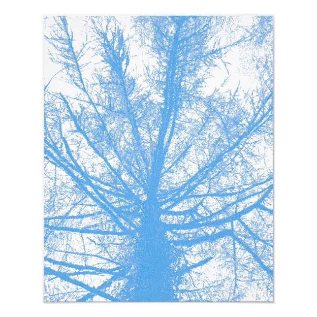 FOTO ÁRBOL DE INVIERNO (Frente)