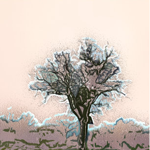 FOTO ÁRBOL DE INVIERNO SOLO