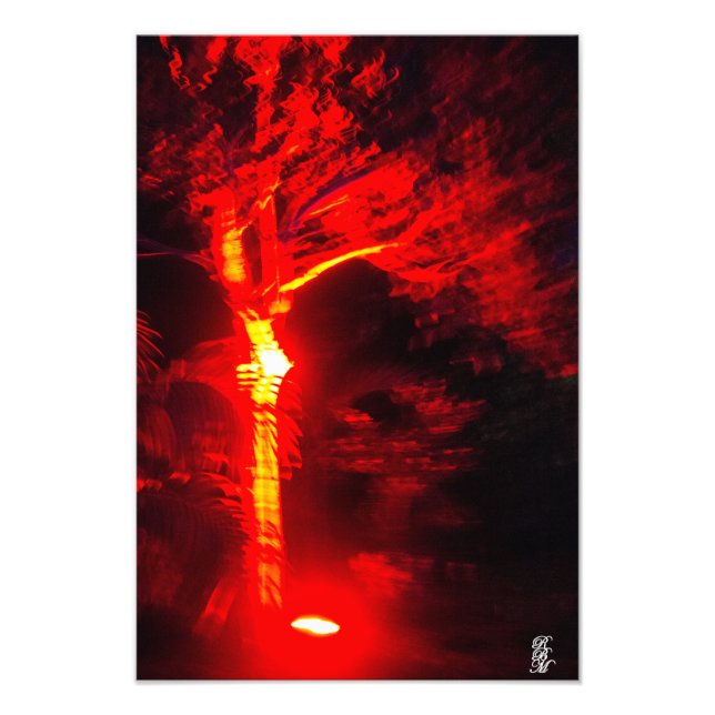 Foto Árbol de luz roja (Frente)