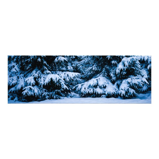 Foto Árbol de Navidad de los bosques de invierno (Frente)