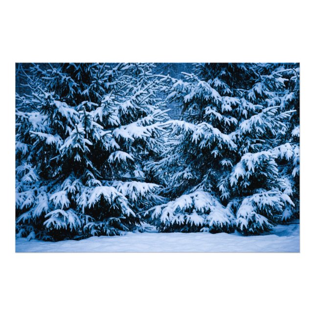 Foto Árbol de Navidad de los bosques de invierno (Frente)
