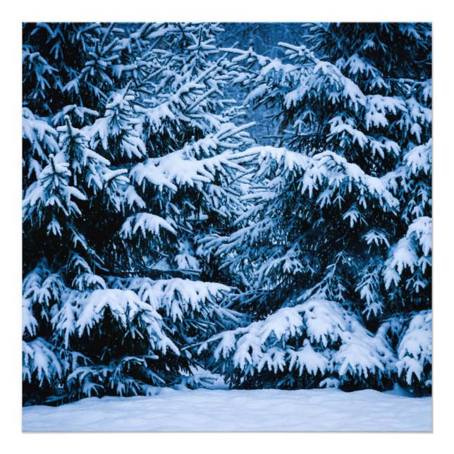 Foto Árbol de Navidad del Bosque de Invierno (Frente)