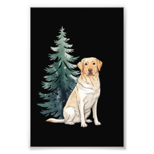 Foto Árbol de Navidad para Perros Fiesta Amante de Perr