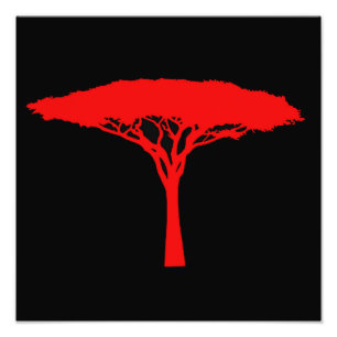 Foto Árbol de paraguas rojo