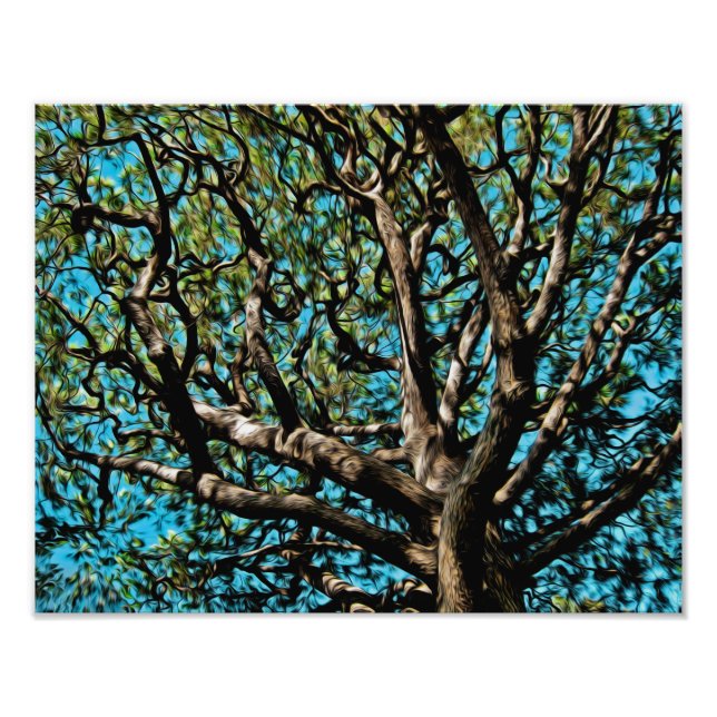 Foto Árbol de roble (Frente)