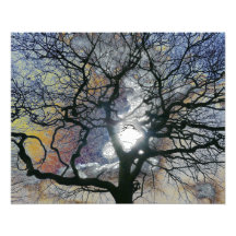 Árbol de roble a principios de primavera, edición