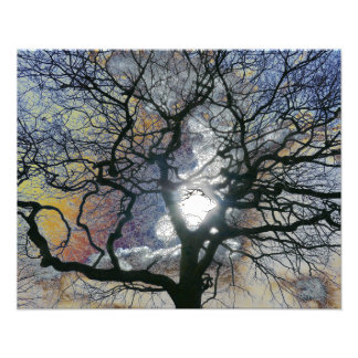 Foto Árbol de roble a principios de primavera, edición