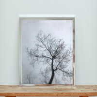 Árbol estéril en el cielo polvoriento