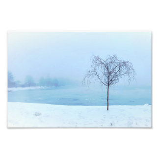 Foto Árbol junto a un lago congelado