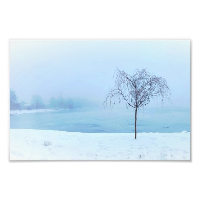 Foto Árbol junto a un lago congelado (Frente)