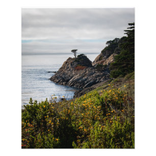 Foto Árbol solitario en los lobos punteros