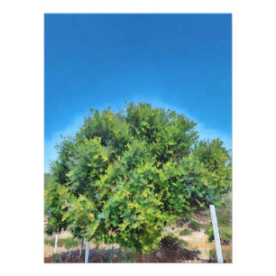 Foto Árbol verde frondoso contra el cielo azul vibrante
