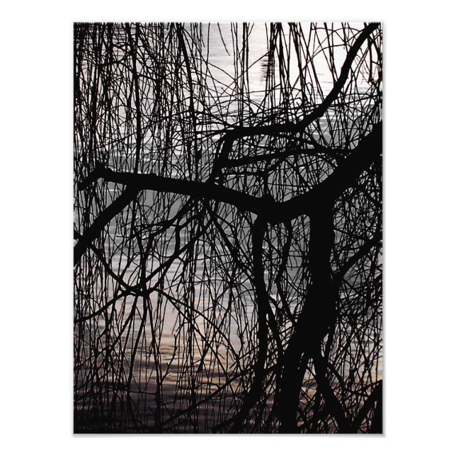 FOTO ÁRBOL WILLOW DE INVIERNO (Frente)