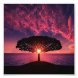 Foto Árbol y sol