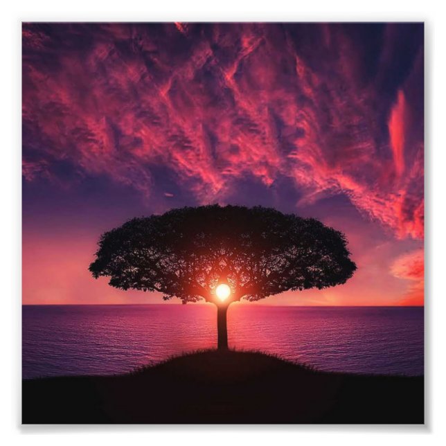 Foto Árbol y sol (Frente)