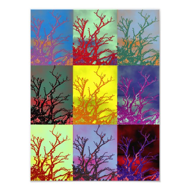 FOTO ÁRBOLES (Frente)