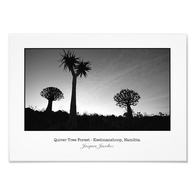 Foto Árboles brillantes al atardecer (Frente)