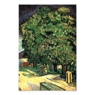 Foto Árboles de castaño en flor - Gogh
