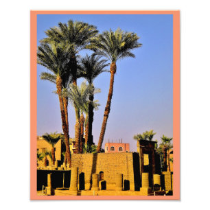 Foto Árboles de fecha del templo de Karnak
