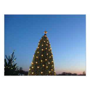 Foto Árboles de Navidad grandes y pequeños que celebro 