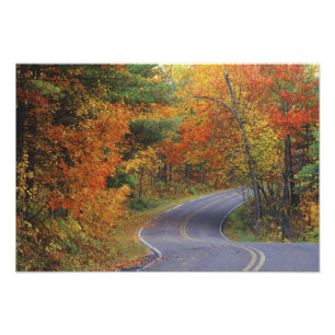 Foto Árboles de otoño alinean la carretera en Itasca St