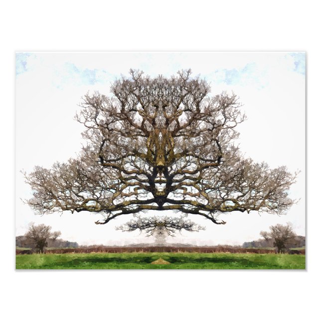 FOTO ÁRBOLES DE PRIMAVERA (Frente)