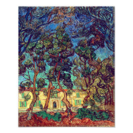 Foto Árboles en el jardín del hospital | Van Gogh |