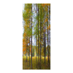 Foto Árboles en otoño