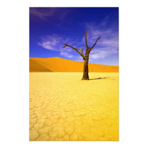 Foto Árboles esqueleto en Dead Vlei Sossusvlei,