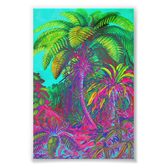 Foto Árboles fílicos y helados (Frente)