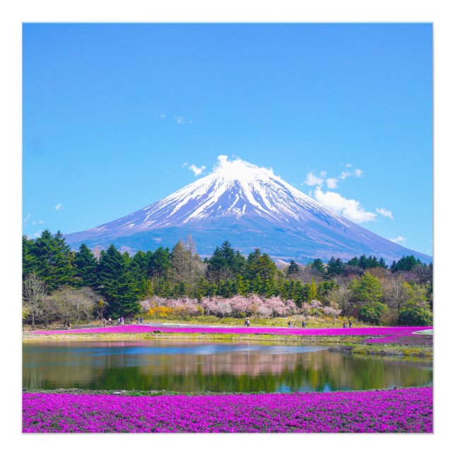 Foto Árboles y flores del Monte Fuji (Frente)