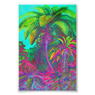 Foto Árboles y helechos de Filicinae