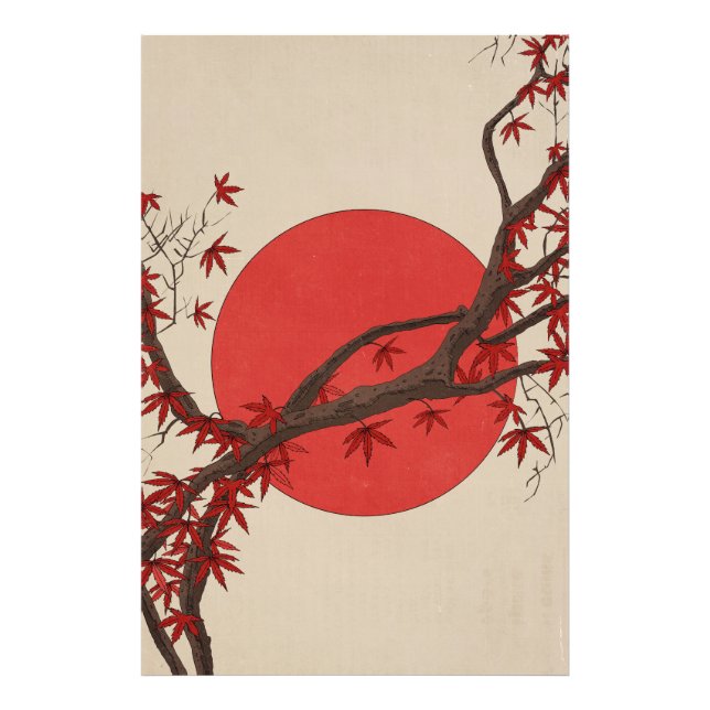 Foto Arce Japonés (Frente)