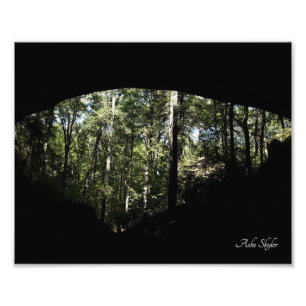 Foto Arco forestal de Sandstone