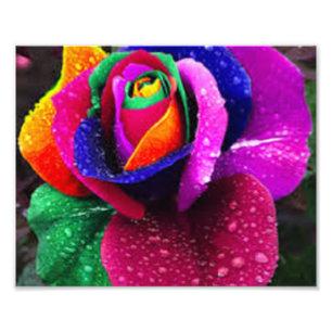 Foto Arco iris colorido hermoso subió