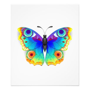 Foto Arcoiris mariposa Peacock Eye