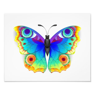 Foto Arcoiris mariposa Peacock Eye