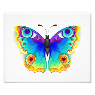 Foto Arcoiris mariposa Peacock Eye