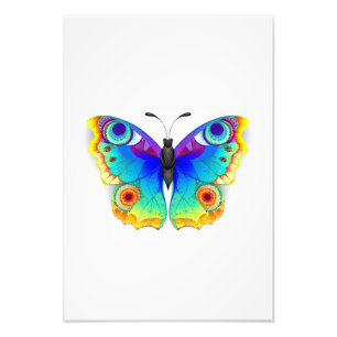 Foto Arcoiris mariposa Peacock Eye