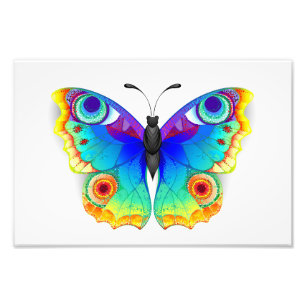 Foto Arcoiris mariposa Peacock Eye