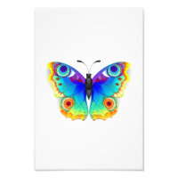 Arcoiris mariposa Peacock Eye