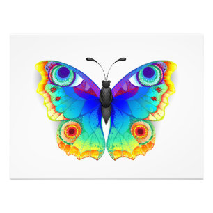 Foto Arcoiris mariposa Peacock Eye