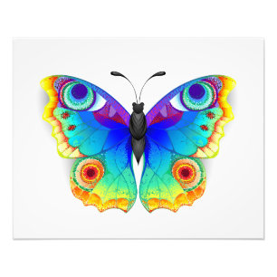 Foto Arcoiris mariposa Peacock Eye